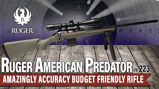 Best Long Range Rifle 2024 Dont Buy Until You WATCH This [upl. by Ahsirk60]