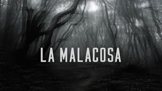 LA MALACOSA Documentario [upl. by Odnanreh198]