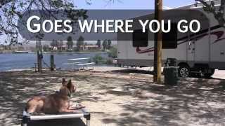 Your Dogs Go Anywhere Bed  Kuranda [upl. by Zedekiah]