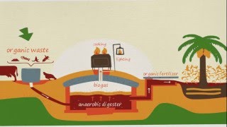 what is biogas how did it produce [upl. by Adnalra696]