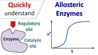 Allosteric enzymes [upl. by Meneau]