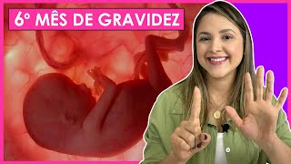 6 MESES DE GRAVIDEZ  SINTOMAS DE GRAVIDEZ EVOLUÇÃO DO BEBÊ E MUITO MAIS [upl. by Anits520]