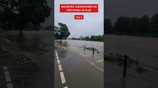 Massives Hochwasser an der Donau in Ulm Tag 2 [upl. by Zingg]