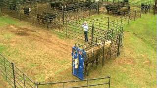 Priefert Small Cattle Working Systems [upl. by Pate936]