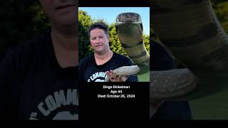 Dingo Dinkelman A Reptile Handler Passed Away To A Snake Bite🕊️dingo youtuber fy shorts rip [upl. by Arah]