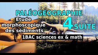 1BAC sc BIOF Etude morphoscopique des sédiments partie2 [upl. by Hitoshi]