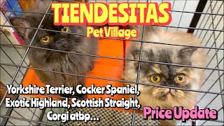 Tiendesitas Pet Village  December 26 2022  Pasig City [upl. by Aramoy]