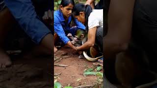 Two women are helping a monkey escape from a snake [upl. by Notluf409]