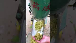 Electric poultry chicken feeds grass pellet making machine diesel cattle pelletizer machine [upl. by Annaear466]