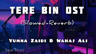 Tere Bin Ost Slowed  Reverb  Yumna Zaidi Wahaj Ali  Dear MUSIC [upl. by Armilda43]