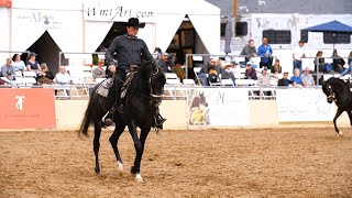 SCOTTSDALE ARABIAN HORSE SHOW 2023  Save the dates [upl. by Leesen345]