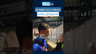 Goldaniga esalta FABREGAS quotAl Como facciamo CALCIOquot 👈👆👉 E imita Lele Adani [upl. by Artied]