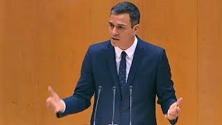 quotSubirán 25 los salarios de los fucionariosquot Pedro Sánchez en el Senado [upl. by Flor13]