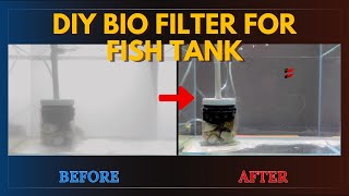 DIY BIO FILTER FOR FISH TANK [upl. by Einnor]