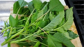 How To Prepare Jamaican Callaloo For Cooking  Chris De La Rosa  FoodFAQ [upl. by Kcirdek52]