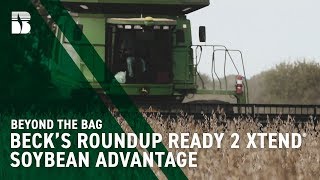 Becks Roundup Ready 2 Xtend® Soybean Advantage  Beck’s Beyond the Bag [upl. by Cristiano]