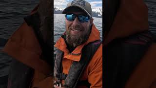 Lunker Pacific Cod Way Down Deep alaska fishing juneau shorts [upl. by Noel]