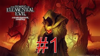 Прохождение The temple of elemental evil серия 1 Подбор партии [upl. by Ayota]