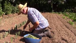 Fraternités Ouvrières  2017 07  à Aalbeke petite visite du jardin [upl. by Souza]