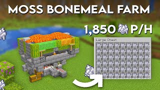 Minecraft Bone Meal Farm Tutorial  1850 Bone Meal Per Hour [upl. by Tenom]