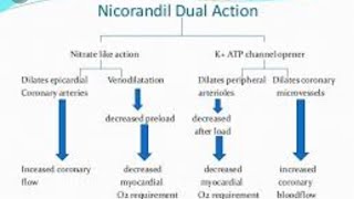 Nicorandil  Nikoran10 mg  Potassium Channel Opener [upl. by Ecnadnak975]