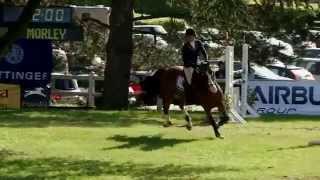 Dedalus m2s Jump off 7 year old Grand Prix [upl. by Falk]