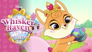 Hearts Hooves Eggs  Whisker Haven Tales with the Palace Pets  Disney Junior [upl. by Rem741]