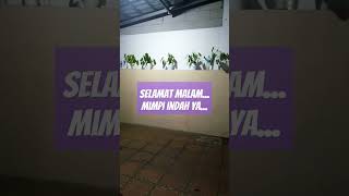 Selamat MalamSalam IstirahatTuhan MemberkatiAmen music lyrics song cover unstoppable sehat [upl. by Nwahsyt]