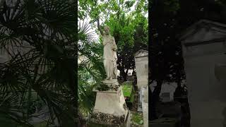 ASMR walk in Graveyard  Headstone Crow cry Cimetière de Montmartre Montmartre Cemetery S631✝️ [upl. by Adamsen]