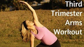 Third Trimester Prenatal Arms WorkoutBut Good for ALL Trimesters of Pregnancy [upl. by Alidia]