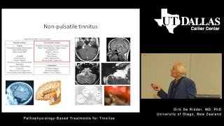 PathophysiologyBased Treatments for Tinnitus [upl. by Euqinoj]