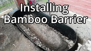 Building And Planting Up Two Bamboo Beds With Rhizome Barrier [upl. by Eyssej]