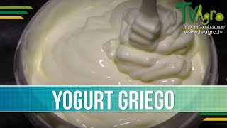 Produccion de Yogurt Griego en Valledupar TvAgro por Juan Gonzalo Angel [upl. by Cathrin]