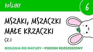 Rośliny 6 🌿Mszaki cz1 mchy wątrobowce glewiki  budowa klasyfikacja rozmnażanie cykl życiowy [upl. by Yanaj]