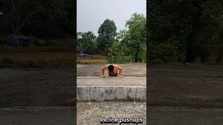 PUSHUPS WORKOUT AT HOME 🏋🏻🏡❤️ viral viralshorts trendingshorts ytshorts shorts youtubeshorts [upl. by Garv]