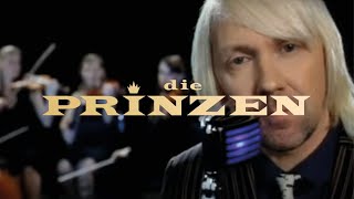 Die Prinzen  Es war nicht alles schlecht Offizielles Musikvideo [upl. by Brew158]