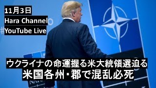 11月3日ライブ・オスコル東岸状況・弔いの杯：セリドボ、クラホフカ他・クラホボ外堀埋まる・南ドネツク露軍「手に困らず」・クルスクFABの意味・露凍結資産で日本支援・モルドバ最新情報・米大統領選前の混乱 [upl. by Gwenneth]