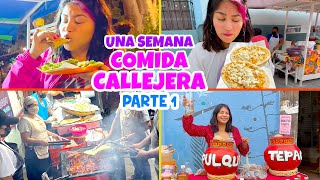 🌮 UNA SEMANA COMIENDO COMIDA CALLEJERA 🍔 ¡Solo Changarros y Puestos 💵 ¿SALE CARO [upl. by Enilec819]