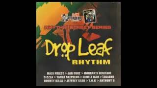 DROP LEAF RIDDIM 2005 MIXED DJ CORLEONA [upl. by Herb]