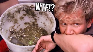 Gordon Ramsay Shuts Down The Most Disgusting Kitchen On The Planet [upl. by Ellerahc]