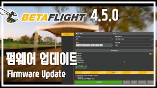 BETAFLIGHT 베타플라이트 450 펌웨어 업데이트 팁 [upl. by Binni]