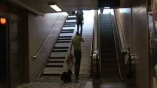 Escada Piano  Escalator vs Stairs [upl. by Hars810]