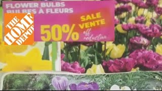 Home Depots INSANE Fall Bulb Sale [upl. by Gahl820]