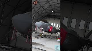 F35A DISPLAY HANGAR E PARCHEGGIO  1001 OPEN DAY 6° STORMO AEROPORTO MILITARE LUIGI OLIVARI GHEDI [upl. by Modeerf412]