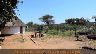 Balule Rest Camp  Kruger National Park [upl. by Elyagiba]