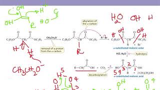 Organic Chemistry II Chapter 17 part 7 Malonic Ester and Acetoacetic Ester Synthesis [upl. by Ailet999]