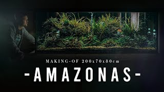 INCREDIBLE 1000L Amazon Aquarium build  XXL Step by Step Tutorial  Planted Tank [upl. by Airelav]