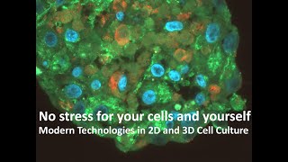 No Stress for Cells and Staff  Modern Technologies in 2D and 3D Cell Culture [upl. by Paske]