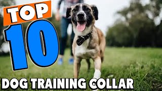 Top 10 Best Dog Training Collars Review In 2024 [upl. by Oriana]