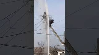 Bird Nest was Destroyed by the firefighters [upl. by Hau]